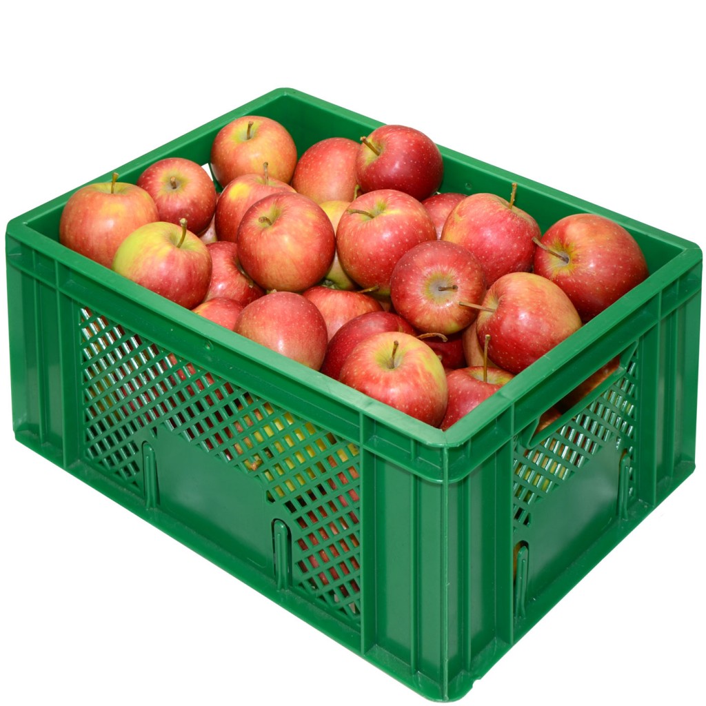 BIO-APFELKISTE „ARLET“ – 6 KG