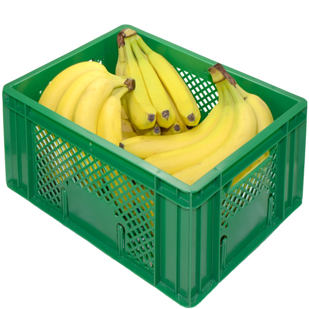 BIO-BANANENKISTE – 6 KG